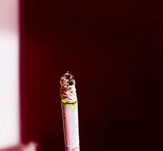 En tänd cigarett med en glödande glöd och vit aska.
