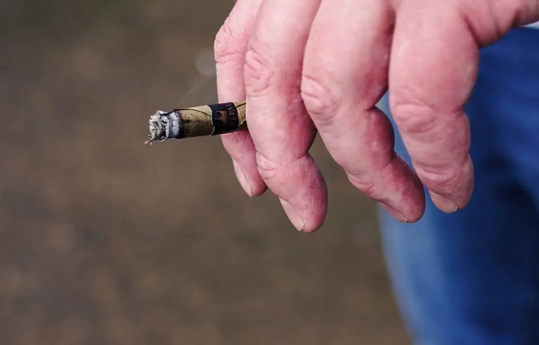 Svartvit cigarett med filter
