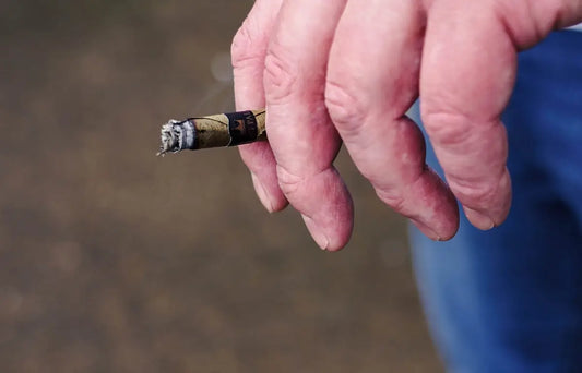 Svartvit cigarett med filter