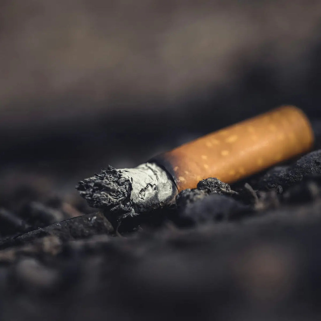 En bränd cigarettfimp med filter.