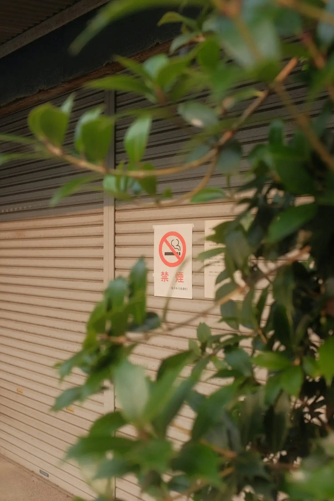 Rökförbudsskylt klistermärke på fönster