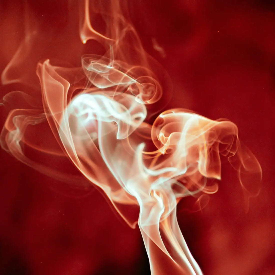 Vit rökdesign på röd bakgrund