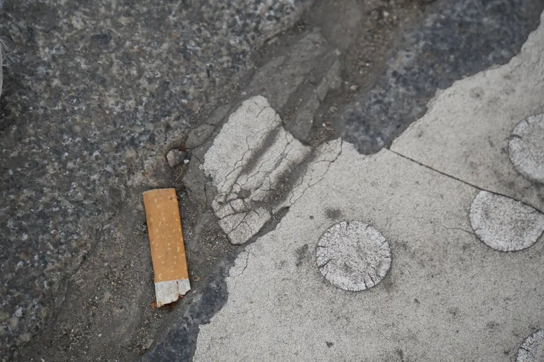En cigarettfimp med ett solbränt filter och en delvis rökt, vit pappersförpackad tobaksdel.
