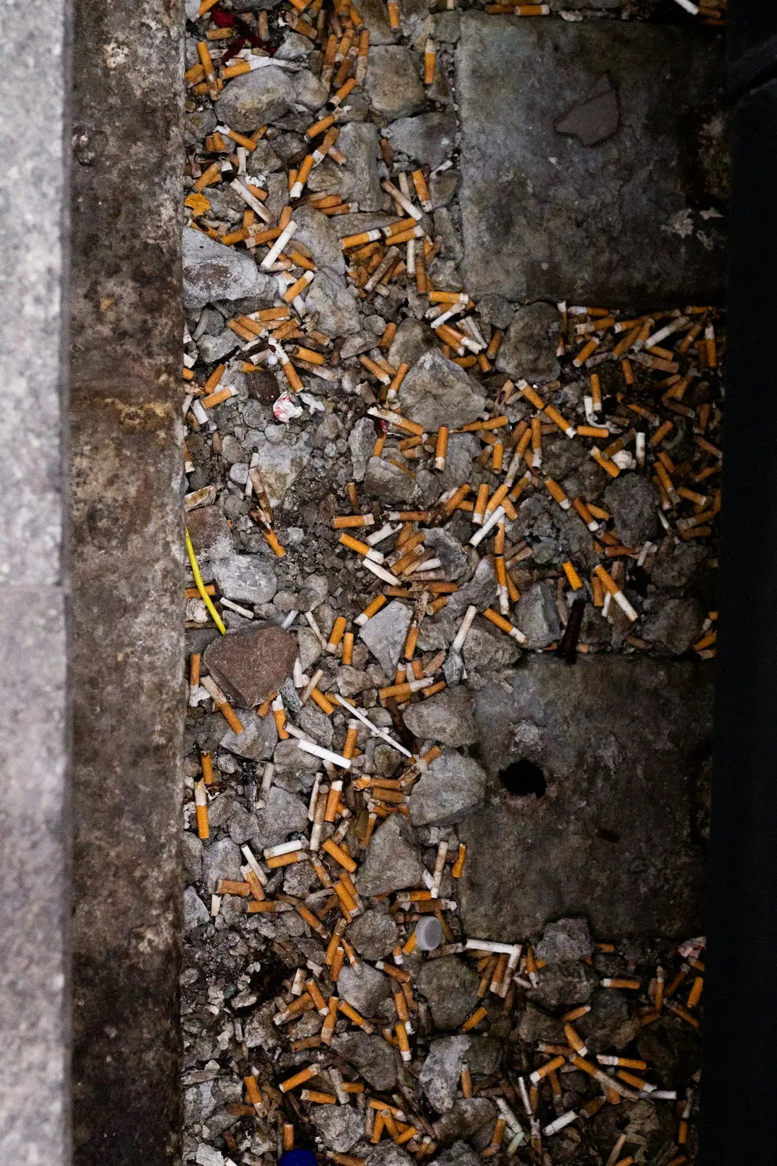 Kasserade cigarettfimpar täcker en sprucken mark.